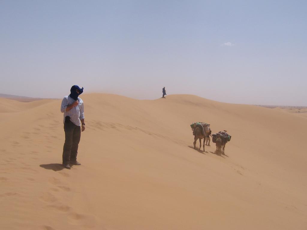 Fibule Du Draa Kasbah D'Hotes Zagora Eksteriør bilde