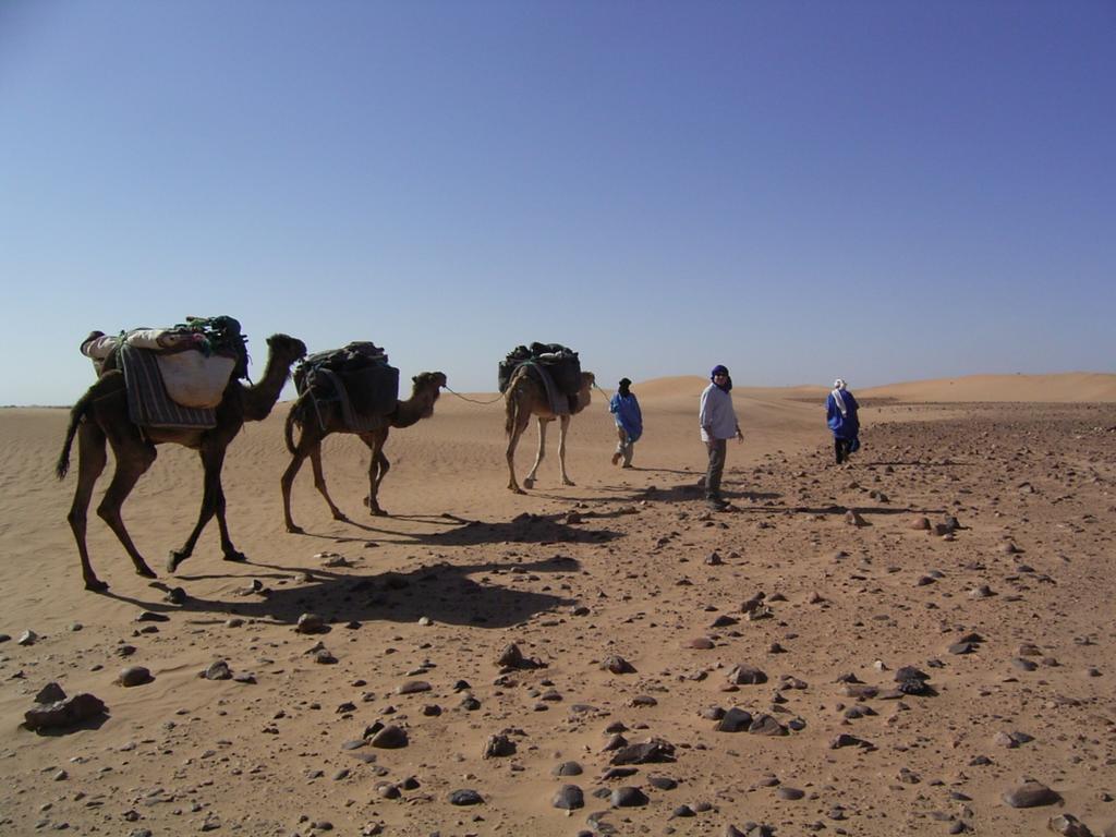 Fibule Du Draa Kasbah D'Hotes Zagora Eksteriør bilde
