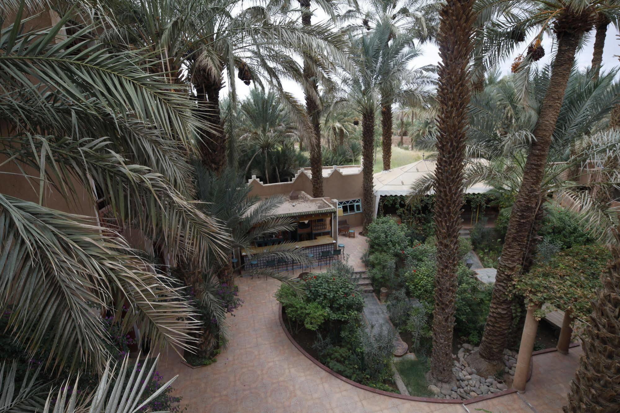 Fibule Du Draa Kasbah D'Hotes Zagora Eksteriør bilde